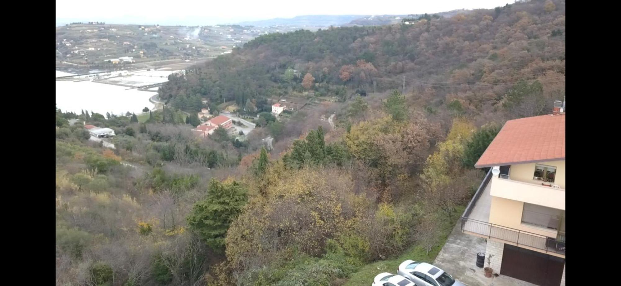 Apartments Bella Vista Lilly Πορτορόζ Δωμάτιο φωτογραφία